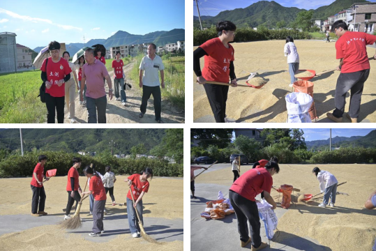 快猫
:深入走访调研 青春力量助力乡村振兴_fororder_图片7