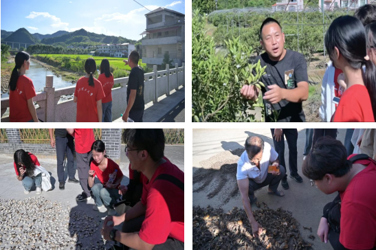 快猫
:深入走访调研 青春力量助力乡村振兴_fororder_图片6