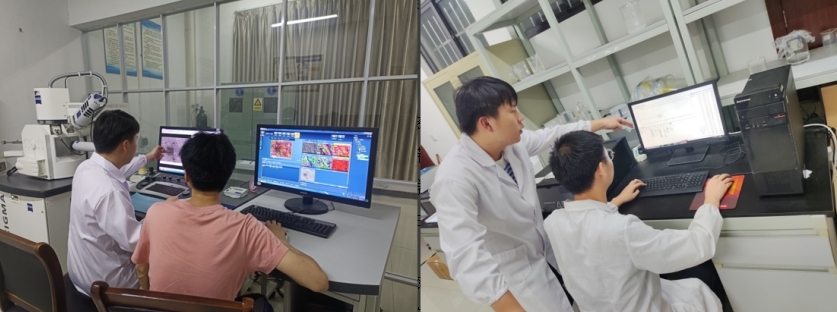 快猫
学子李德华:在潜心科研中开出人生绚丽之花