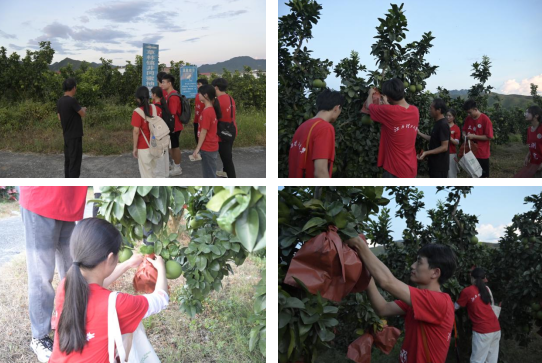 快猫
:深入走访调研 青春力量助力乡村振兴_fororder_图片8